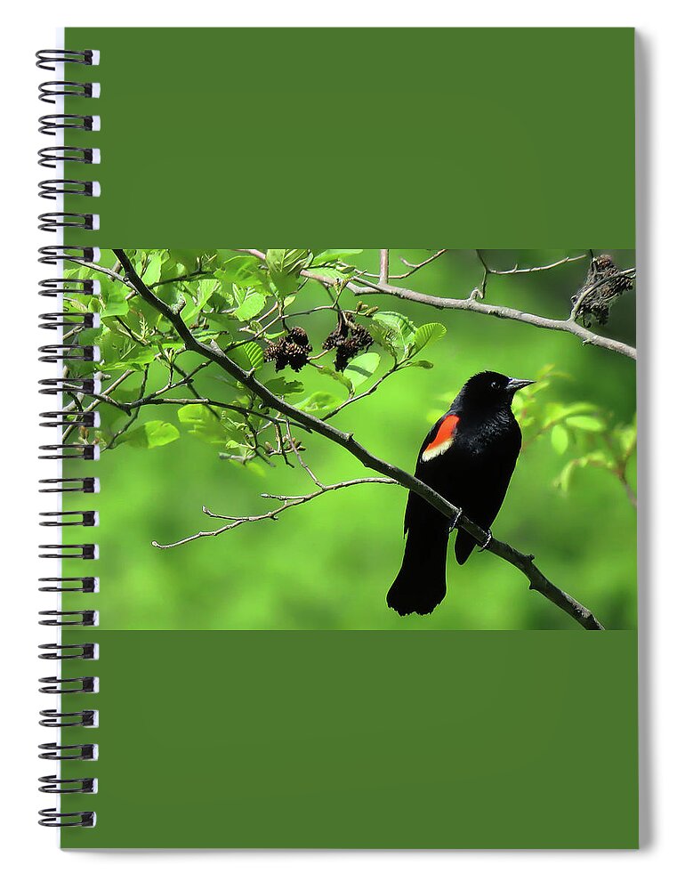 Bird Spiral Notebook featuring the photograph Red-Winged Blackbird by Rebecca Grzenda