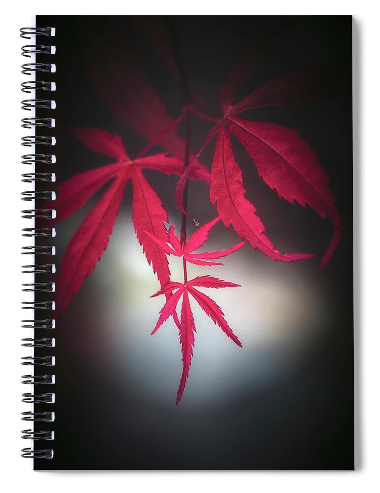 Leaves Spiral Notebook featuring the photograph Red with Light by Philippe Sainte-Laudy