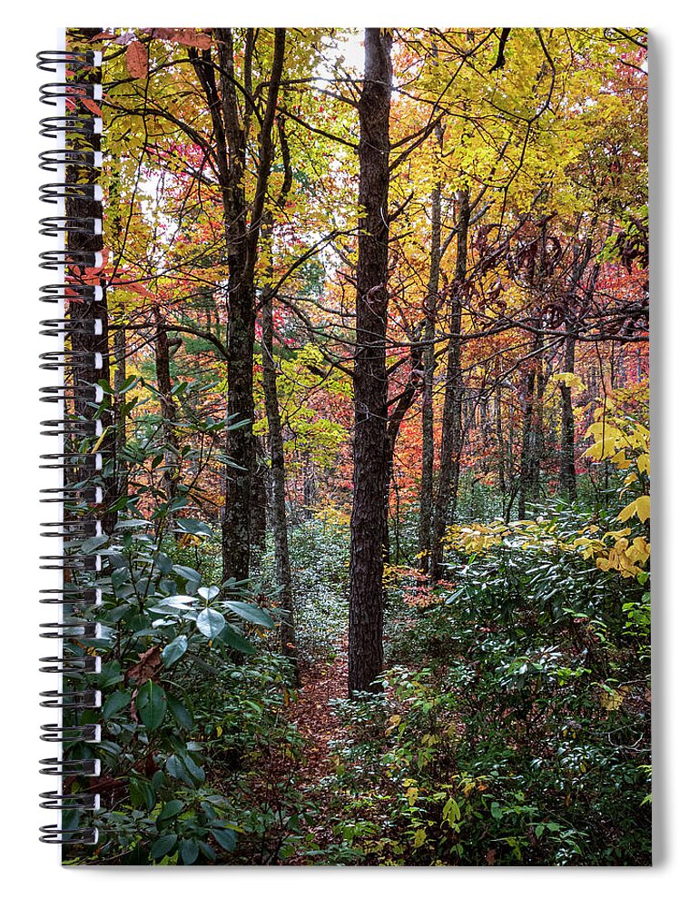 Wiseman's View Spiral Notebook featuring the photograph Red, Yellow, Orange, and Rhododendron by Cynthia Clark