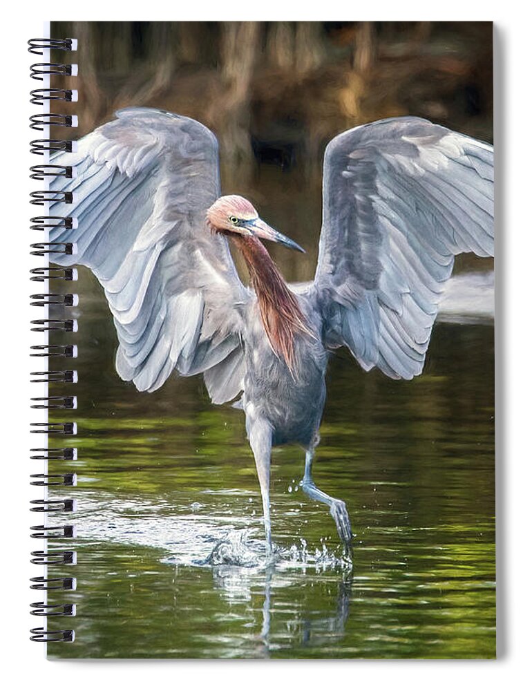 Reddish Egret Spiral Notebook featuring the photograph Reddish Egret with TUDE by Jaki Miller