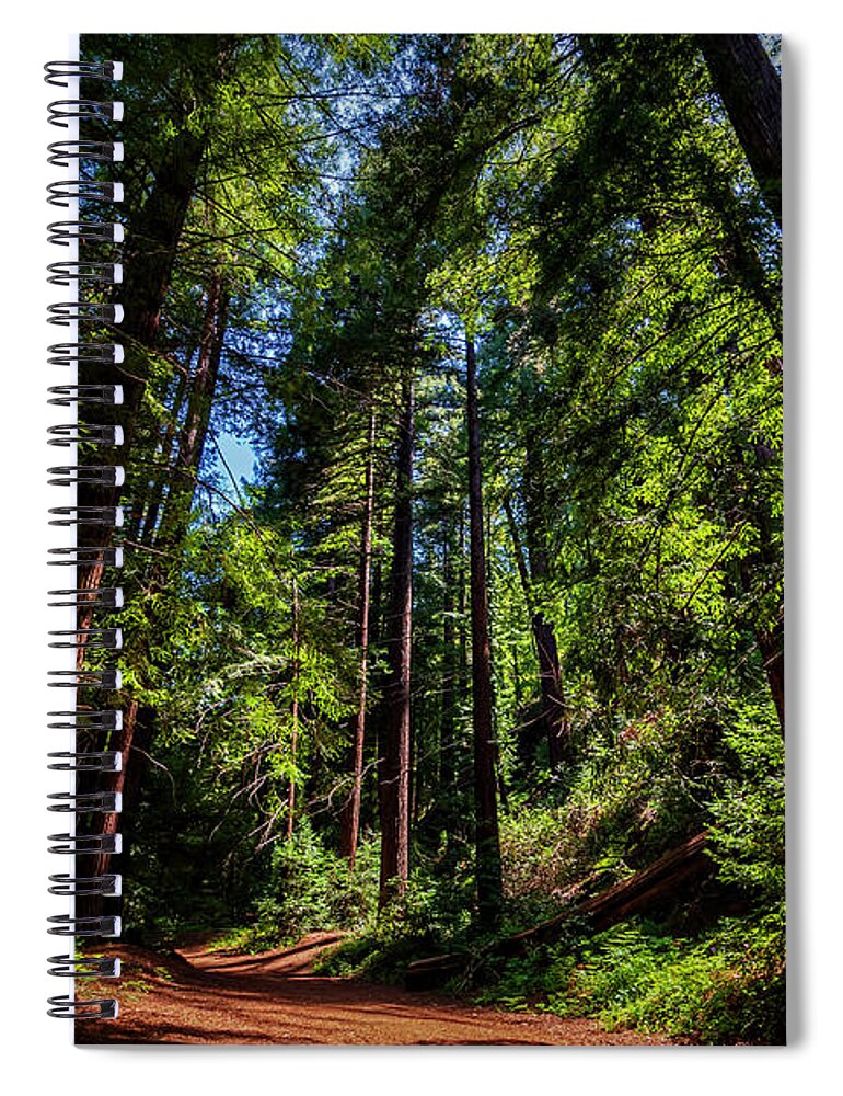 Redwoods Spiral Notebook featuring the photograph Redwood Forest by Rich Cruse