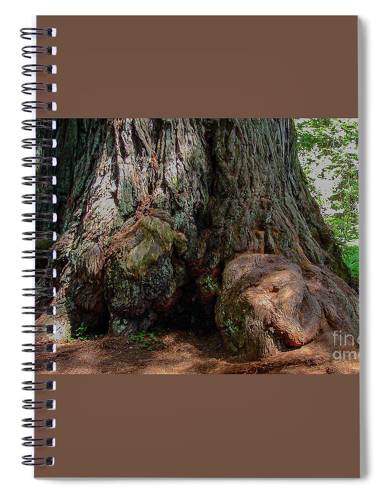 Redwood In Sequoia National Forest Spiral Notebook featuring the digital art Redwood in Sequoia National Forest by Tammy Keyes