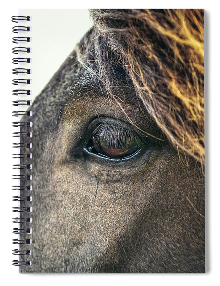 Photographs Spiral Notebook featuring the photograph Reed - Horse Art by Lisa Saint