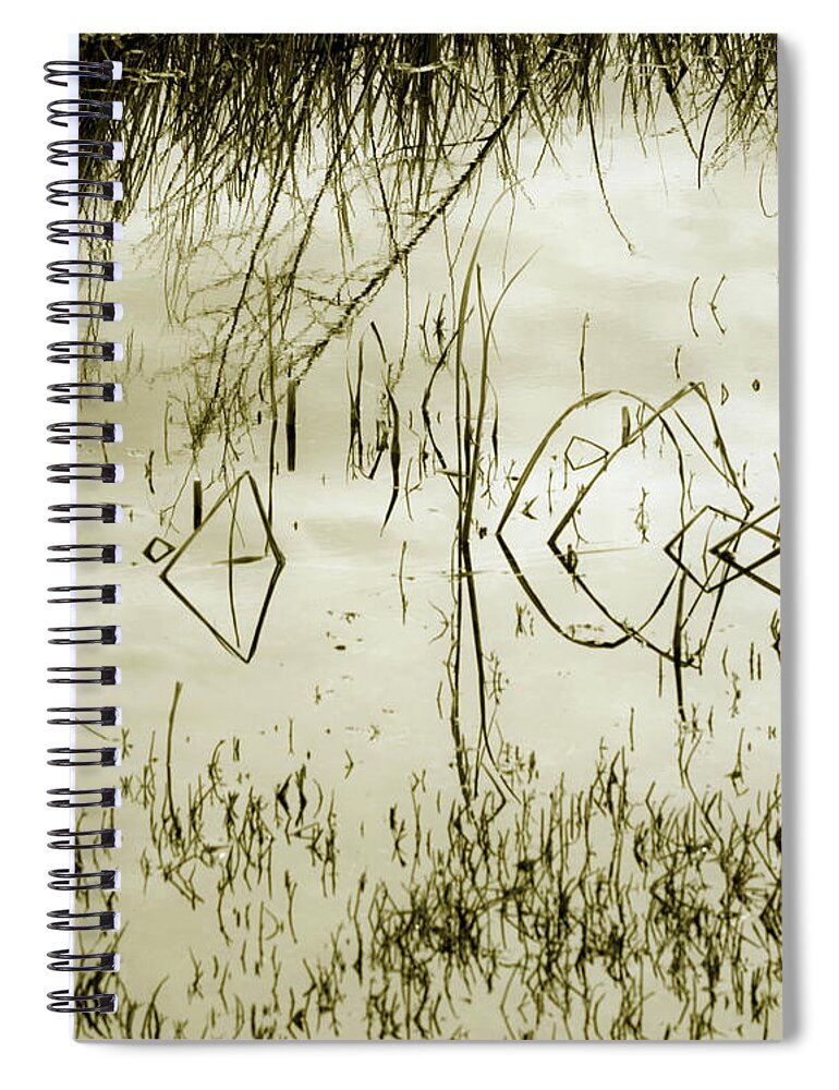 Savannah Spiral Notebook featuring the photograph Reeds Telling A Story by Theresa Fairchild