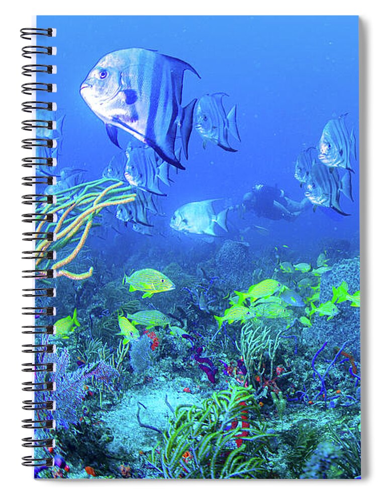 Fish Spiral Notebook featuring the photograph Reef Under the Sea by Debra and Dave Vanderlaan