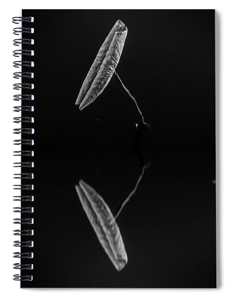 Reflection Spiral Notebook featuring the photograph Reflection by Alessandra RC