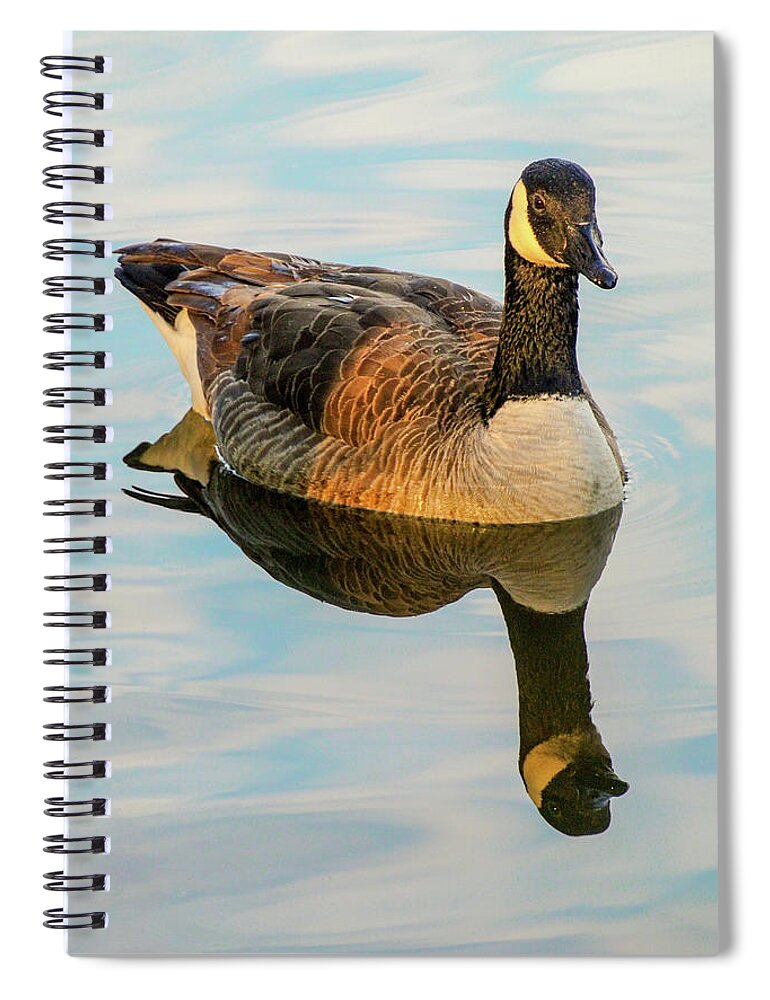 Water Spiral Notebook featuring the photograph Reflection of the Goose by Rick Nelson