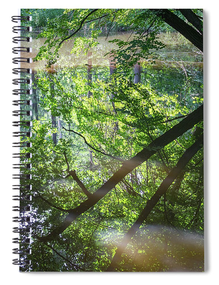 Lake Spiral Notebook featuring the photograph Reflection of trees in calm water by Adriana Mueller