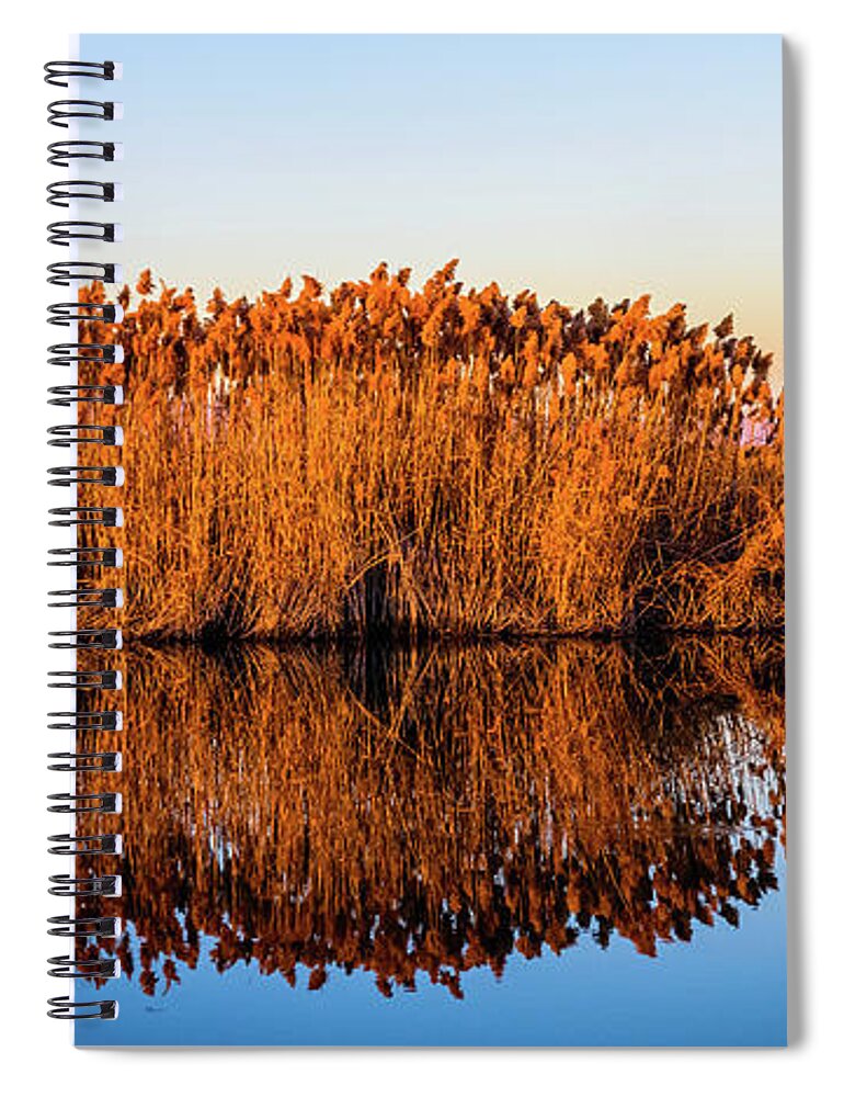 Fine Art Spiral Notebook featuring the photograph Reflection on Blue by Bryan Carter