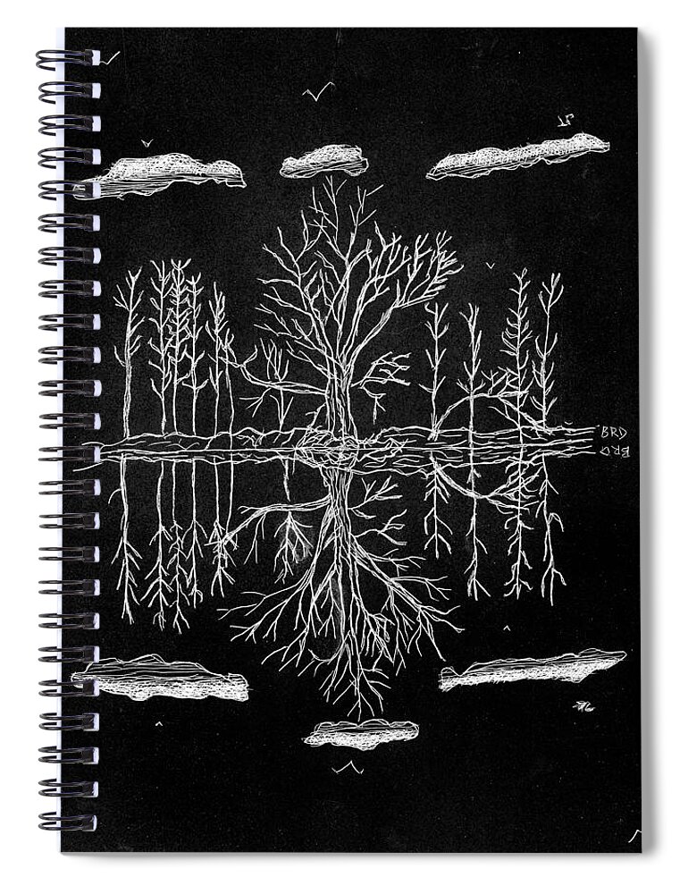 Reflections Spiral Notebook featuring the drawing Reflections? by Branwen Drew