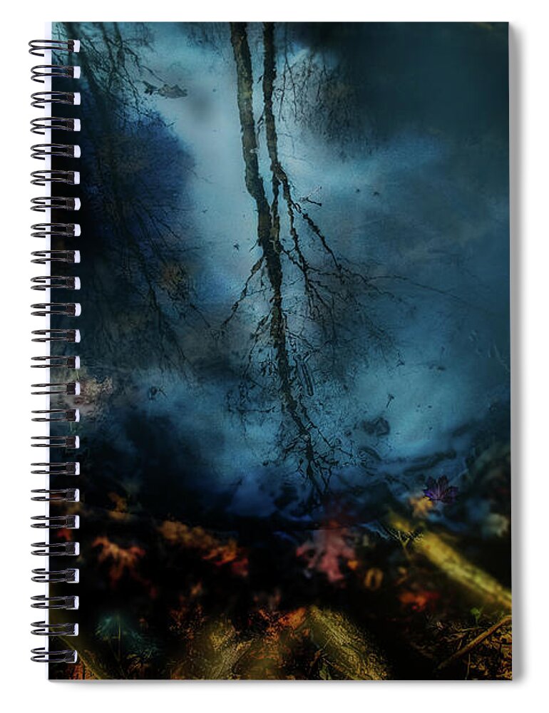 Abstract Spiral Notebook featuring the photograph Reflections from a puddle by Jim Signorelli