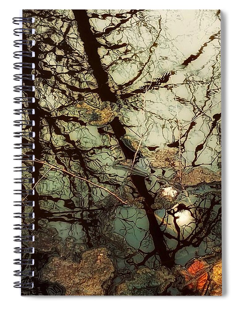  Spiral Notebook featuring the photograph Reflections by Lisa Burbach