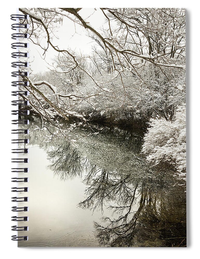 Blackwell Forest Preserve Spiral Notebook featuring the photograph Reflections of early spring snow in Portrait by Joni Eskridge
