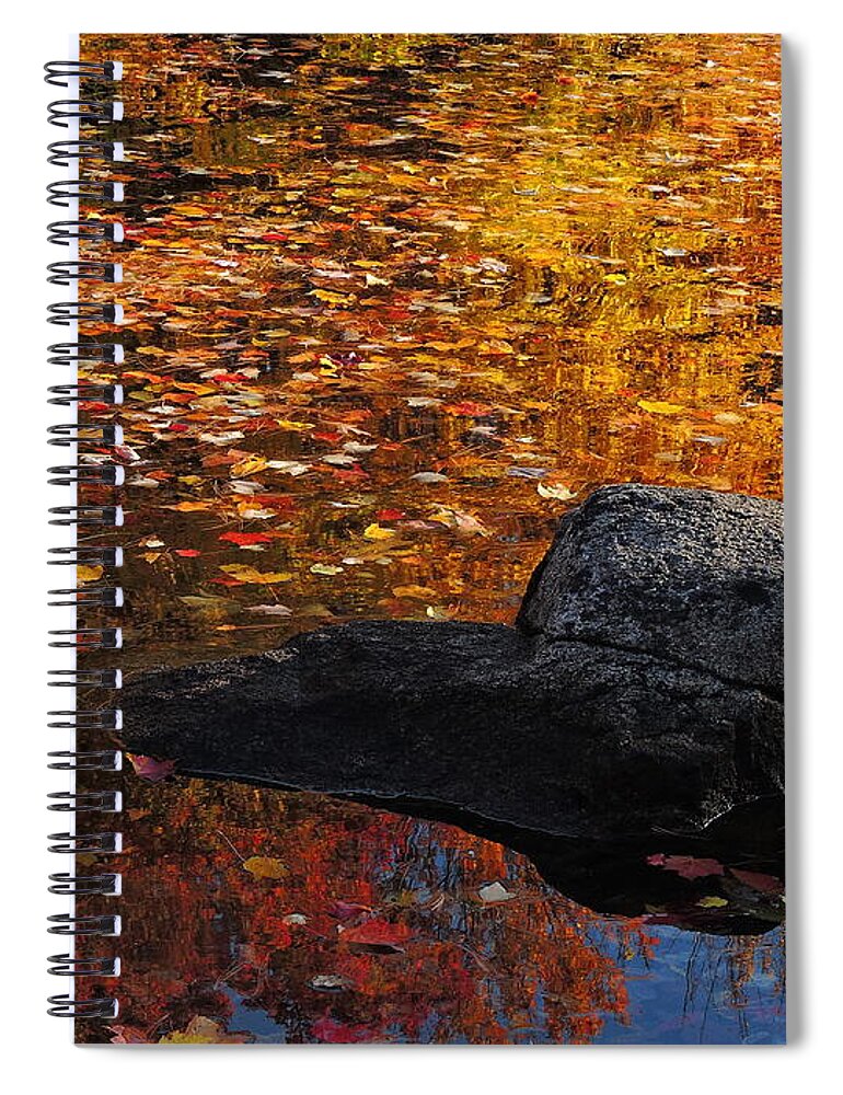  Lake Spiral Notebook featuring the photograph Reflective Beauty by Marcia Lee Jones