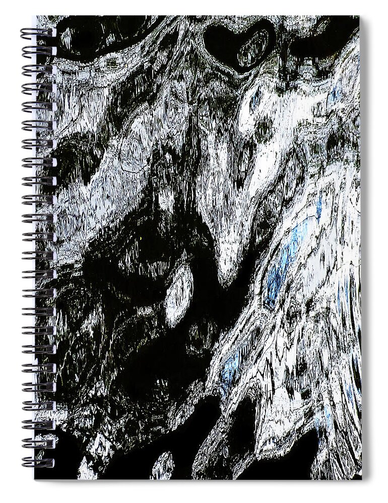 248139 Spiral Notebook featuring the photograph Reflets Dans L'Eau 24 by Panoramic Images