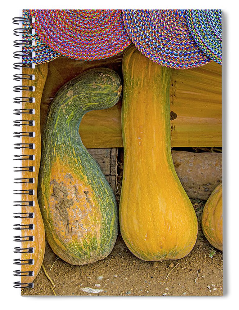 Gourds Spiral Notebook featuring the photograph Regalia by Edward Shmunes