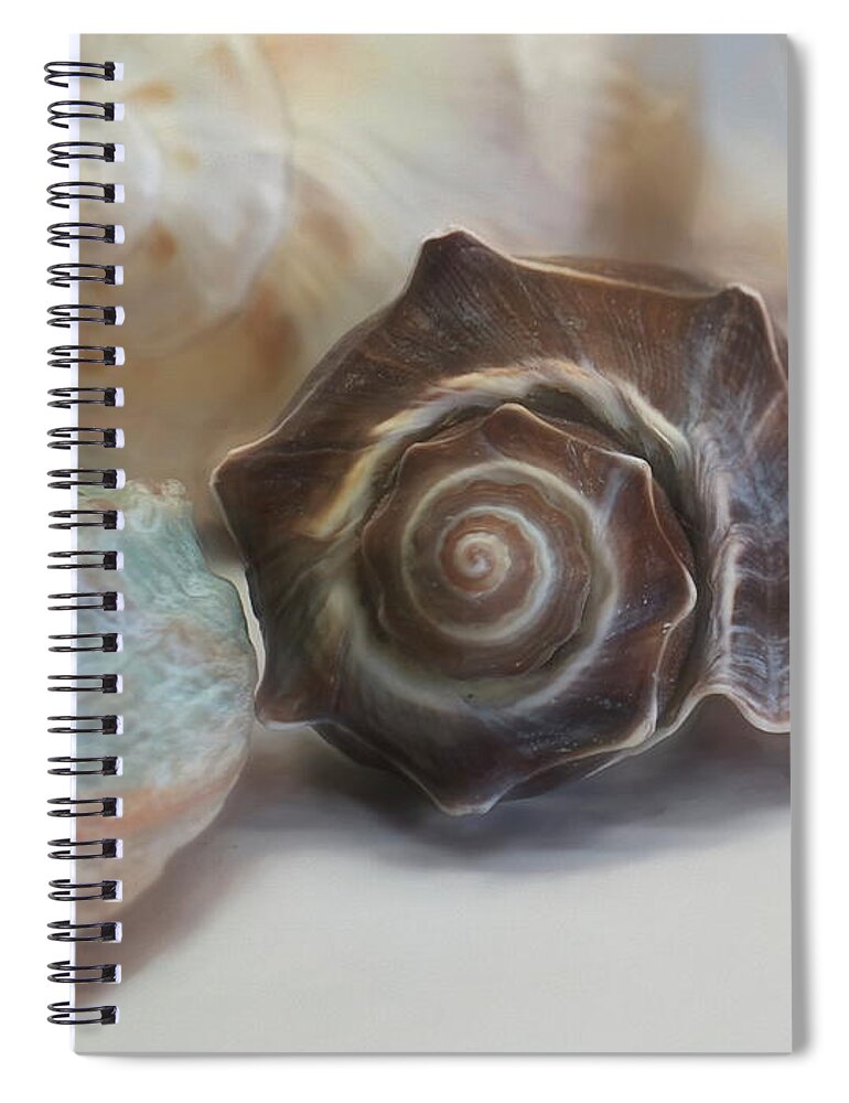 Seashells Spiral Notebook featuring the mixed media Related 5 by Lynda Lehmann