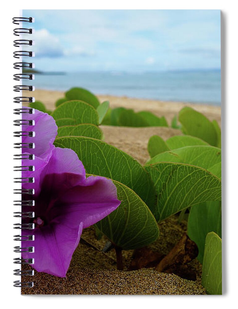 Maui Spiral Notebook featuring the photograph Relaxing Flowers in the Sand by Wilko van de Kamp Fine Photo Art