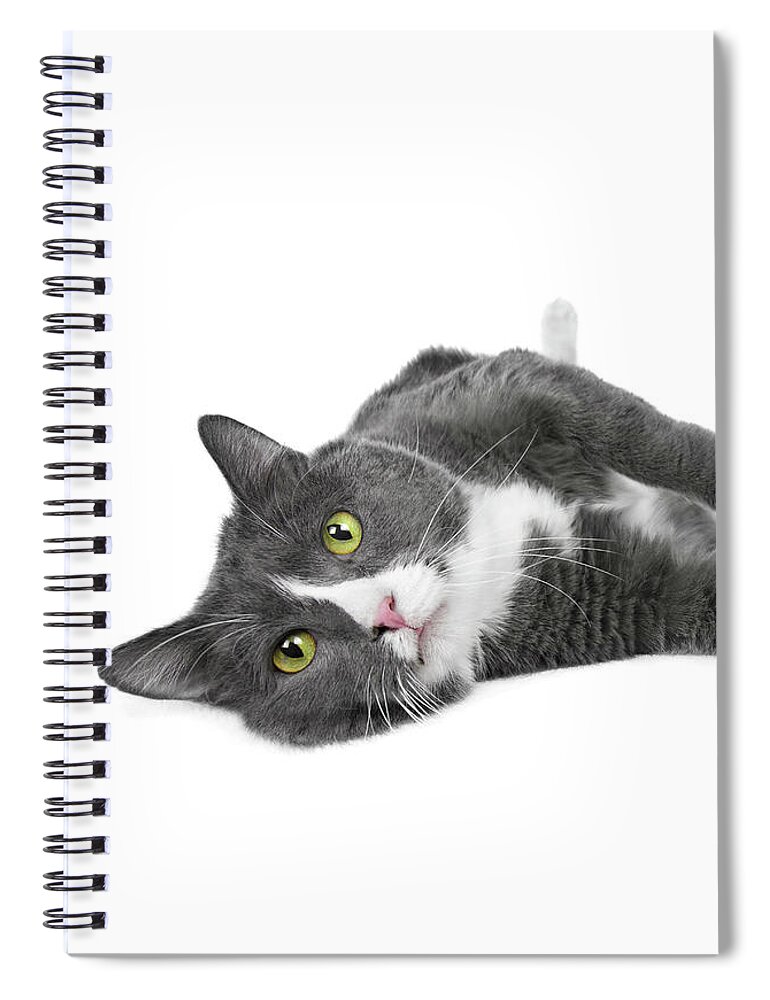 Cat Spiral Notebook featuring the photograph Relaxing Kitty Joy by Renee Spade Photography