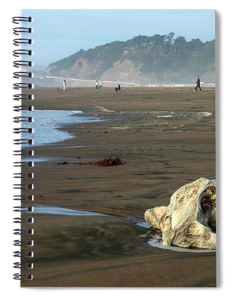Bones Spiral Notebook featuring the photograph Remnant of the Sea by Bonnie Follett