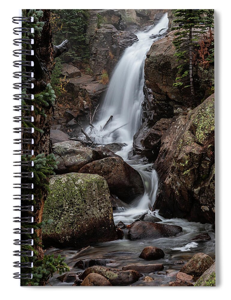 Fine Art Spiral Notebook featuring the photograph Resilience and Grace by Kim Sowa