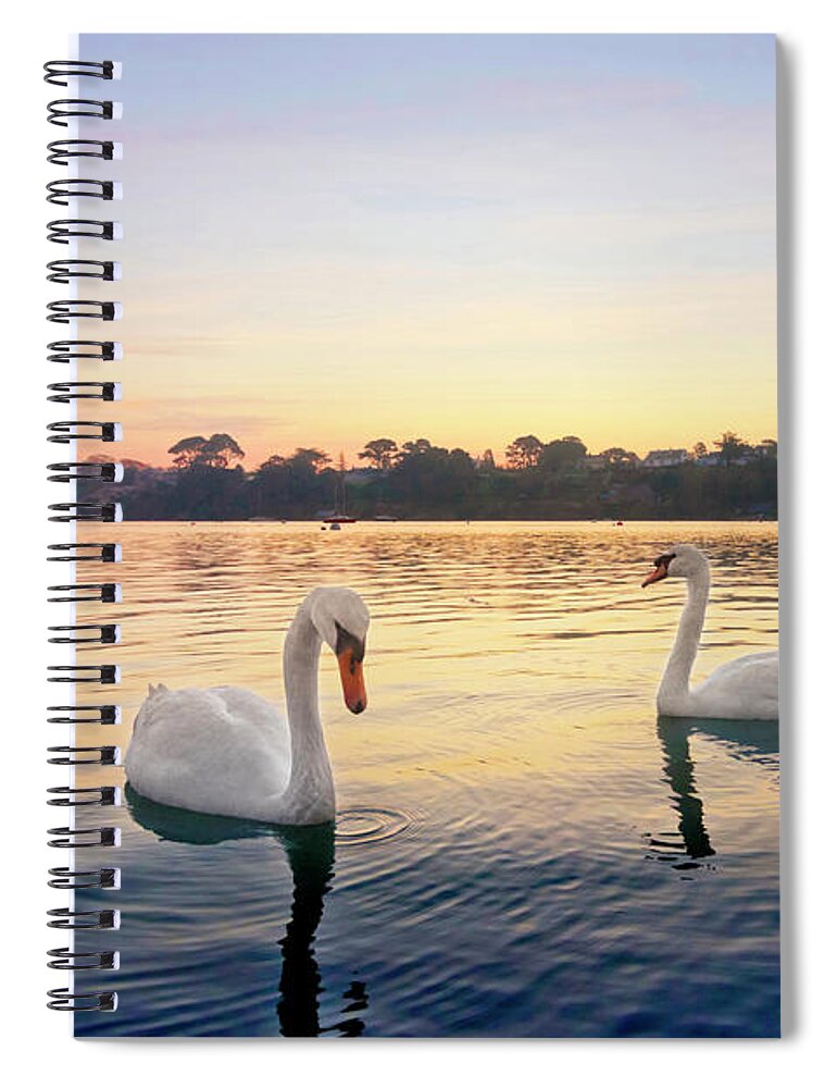 Restronguet Spiral Notebook featuring the photograph Restronguet Swans at Sunrise by Terri Waters