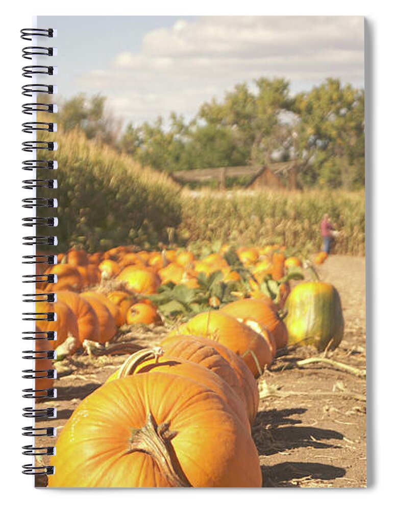 Retro Spiral Notebook featuring the photograph Retro pumpkin patch by Steve Speights