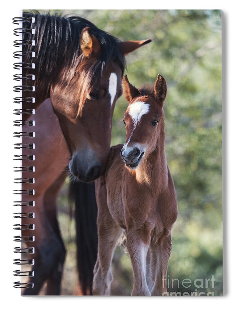 Foal Spiral Notebook featuring the photograph Reunited by Shannon Hastings