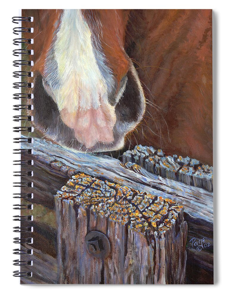 Horse Spiral Notebook featuring the painting Rhoda Knows by Page Holland