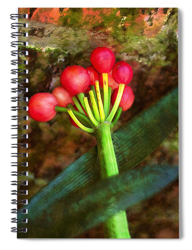 Painting Spiral Notebook featuring the painting Rhodea Japonica by Anthony M Davis