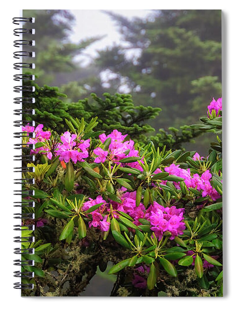 Rhododendron Spiral Notebook featuring the photograph Rhododendrons in Bloom II by Shelia Hunt