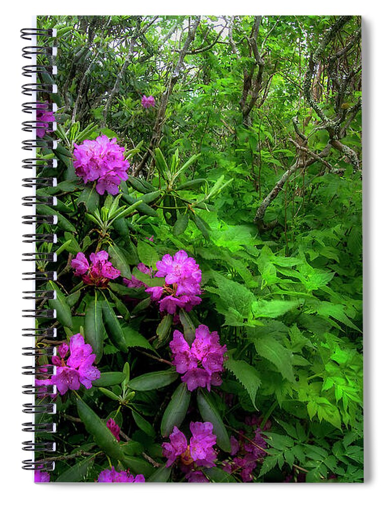 Rhododendron Spiral Notebook featuring the photograph Rhododendrons in Spring II by Shelia Hunt
