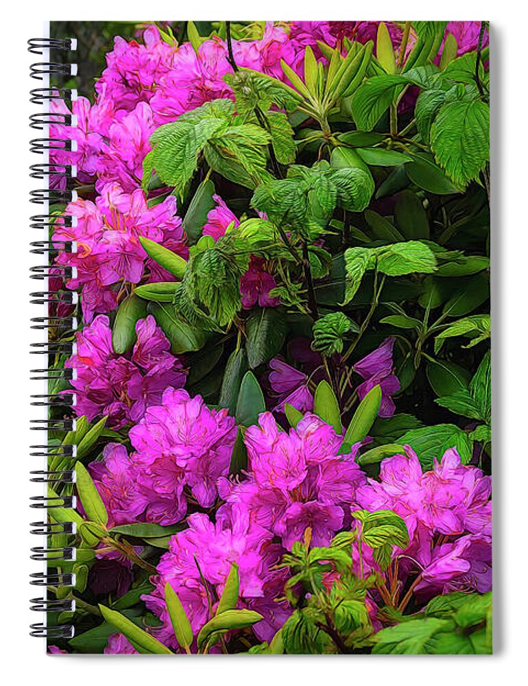 Rhododendron Spiral Notebook featuring the photograph Rhododendrons of the Blue Ridge Mountains by Shelia Hunt
