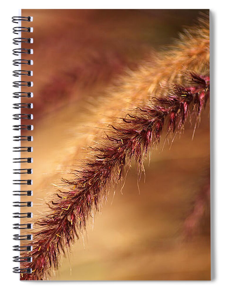Pennisetum Advena Rubrum Art Spiral Notebook featuring the photograph Rich Wild Grasses by Joy Watson