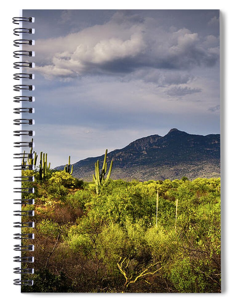 Rincon Peak Spiral Notebook featuring the photograph Rincon Peak and Saguaro Cactus Sunset Light, Tucson AZ by Chance Kafka