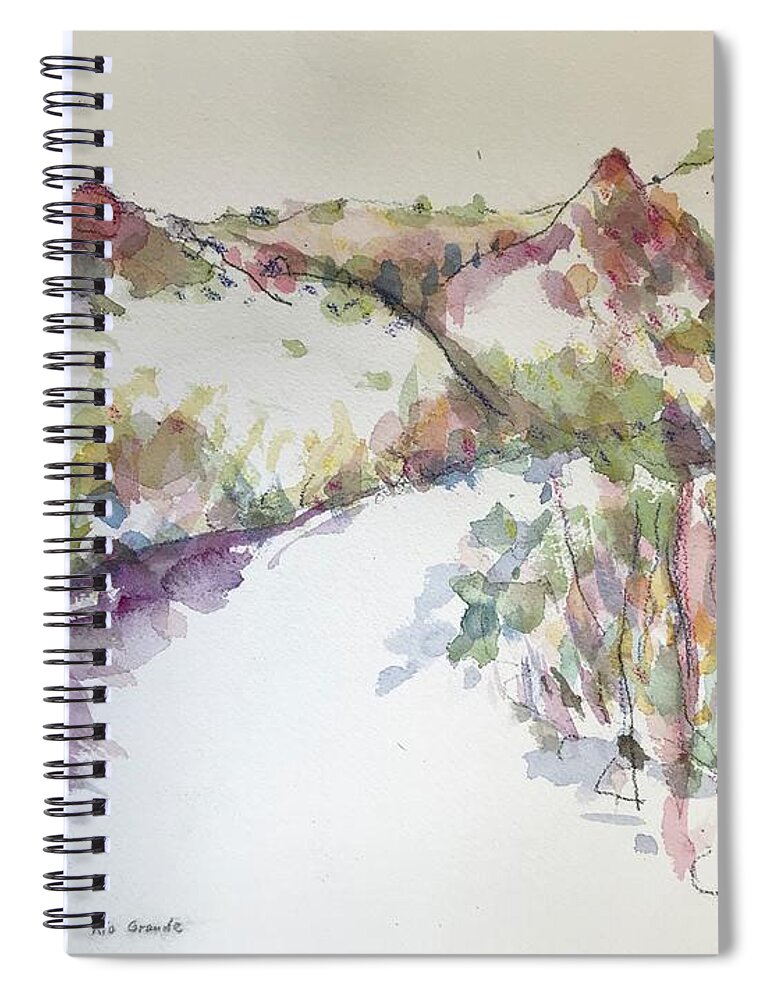 Plein Air Spiral Notebook featuring the painting Rio Grande Gorge 3 by Glen Neff