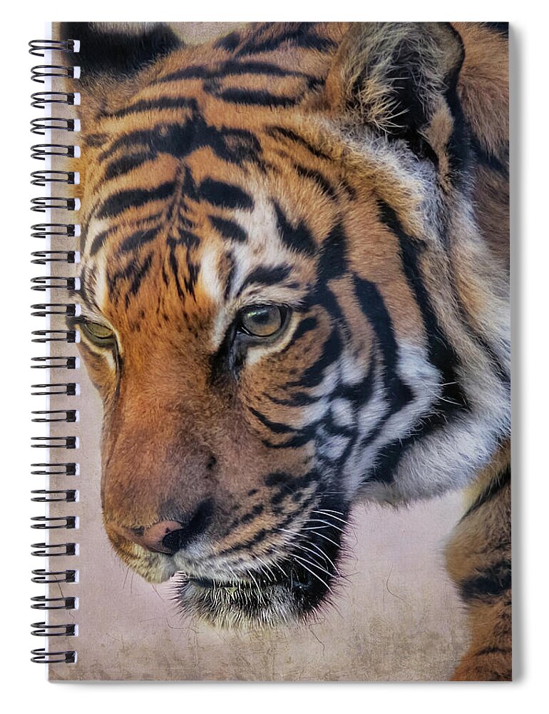 Tigers Spiral Notebook featuring the photograph RIP Baheem by Elaine Malott