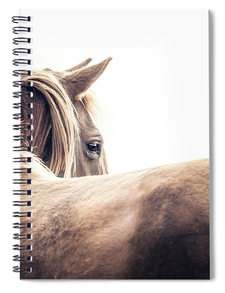 Photographs Spiral Notebook featuring the photograph Risco - Horse Art by Lisa Saint