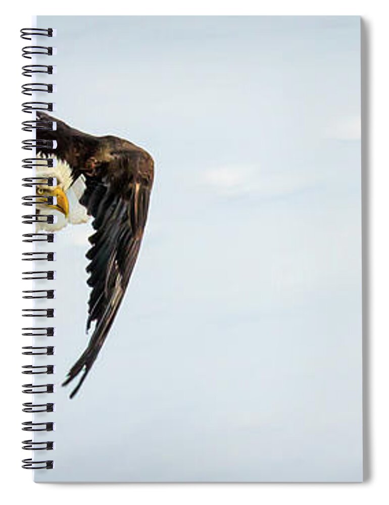 Eagle Spiral Notebook featuring the photograph Rising Attack by Kevin Dietrich