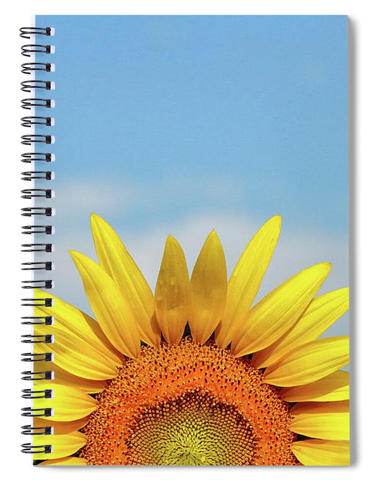 Sunflower Spiral Notebook featuring the photograph Rising Sun by Lens Art Photography By Larry Trager