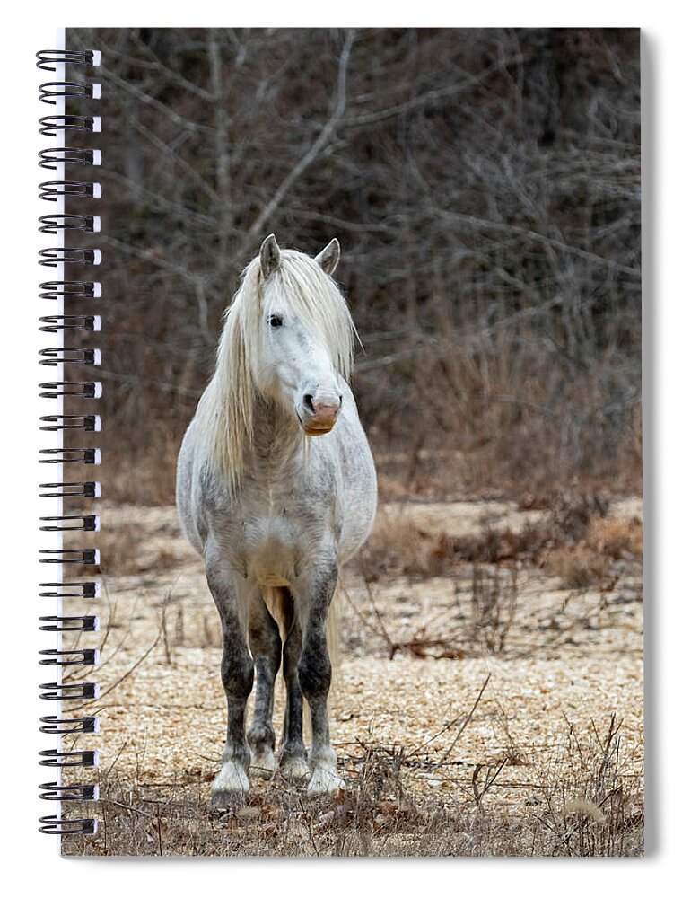 Missouri Spiral Notebook featuring the photograph River by Holly Ross