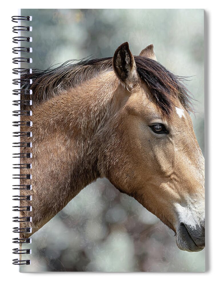 Horses Spiral Notebook featuring the photograph River by Mary Hone