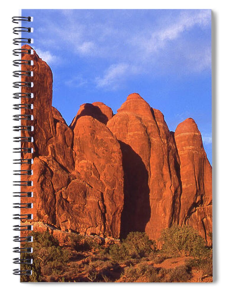 Desert Spiral Notebook featuring the photograph Roadside Beauty in Utah by Mike McGlothlen