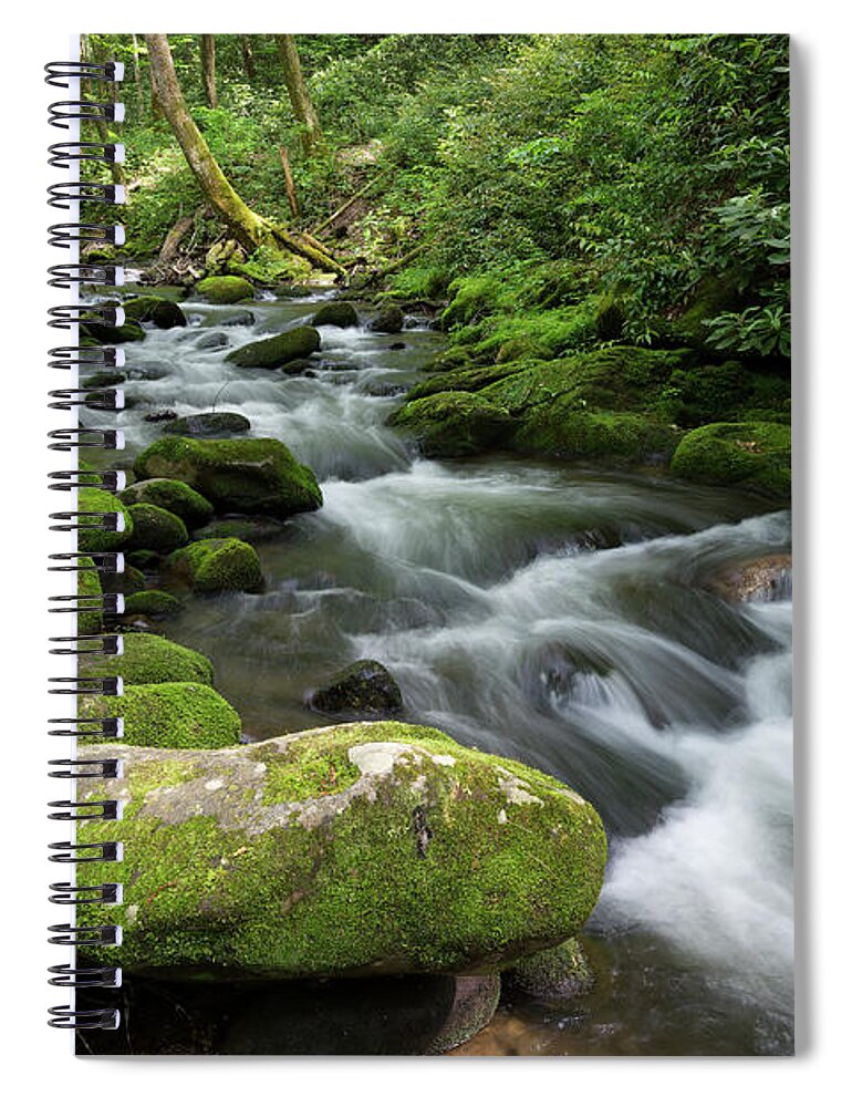 Smokies Spiral Notebook featuring the photograph Roadside Waterway by Phil Perkins