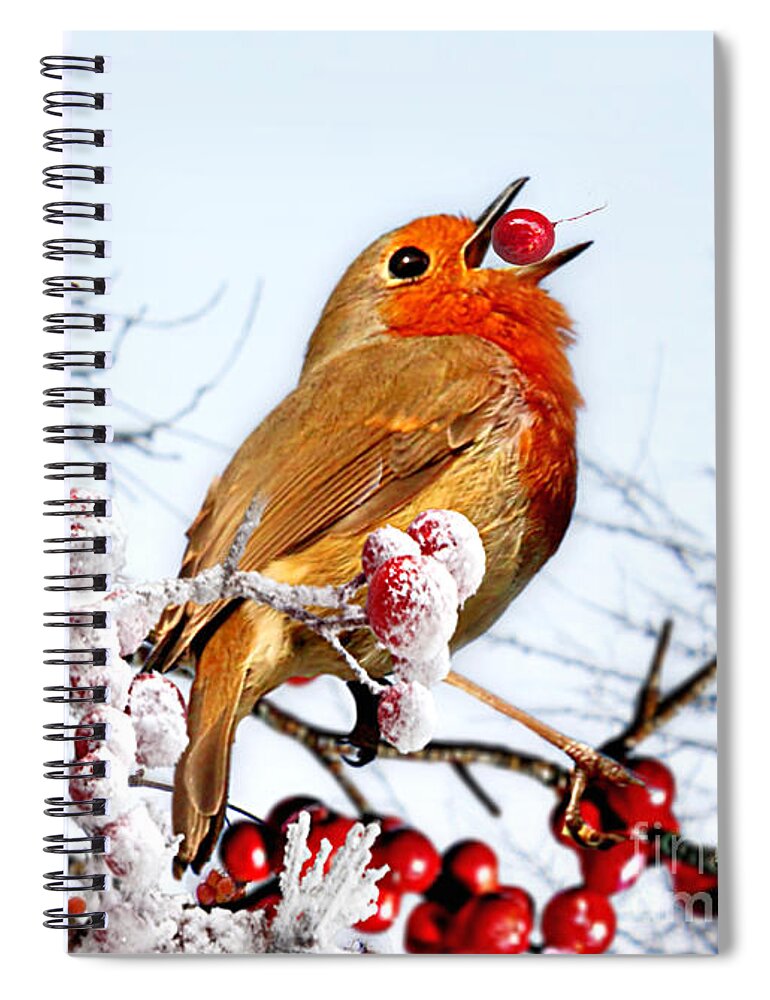 Robin Spiral Notebook featuring the mixed media Robin and Berries in Snow by Morag Bates