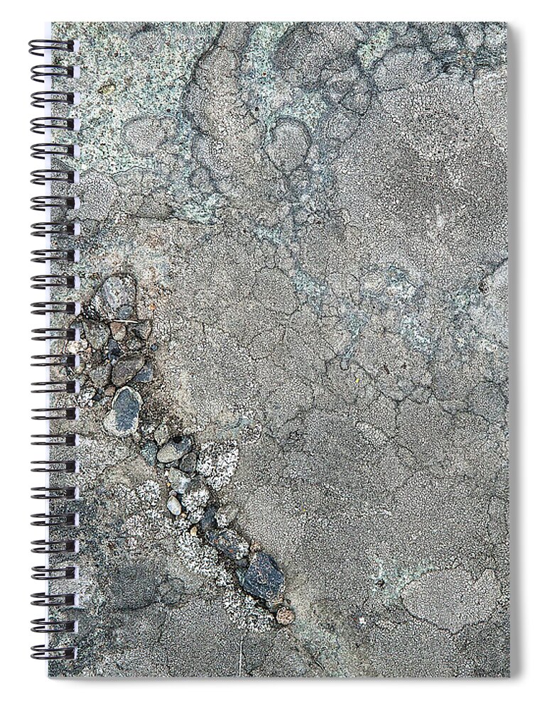 Lichen Spiral Notebook featuring the photograph Rock Lichen by Theresa Tahara