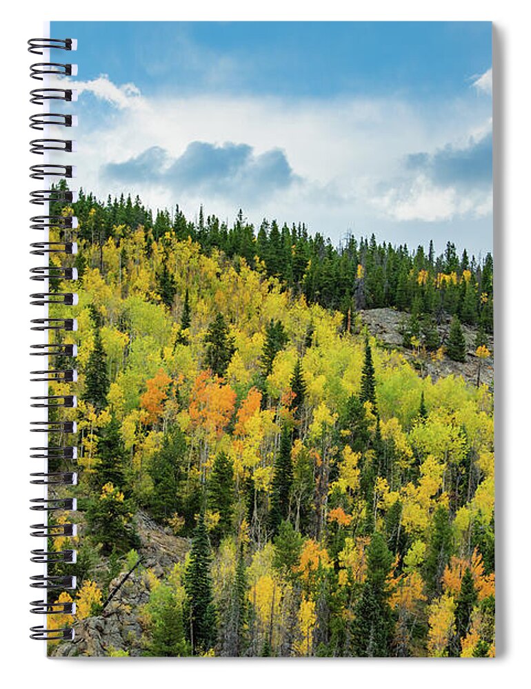 Fall Spiral Notebook featuring the photograph Rocky Mountains Fall Foliage by Kyle Hanson