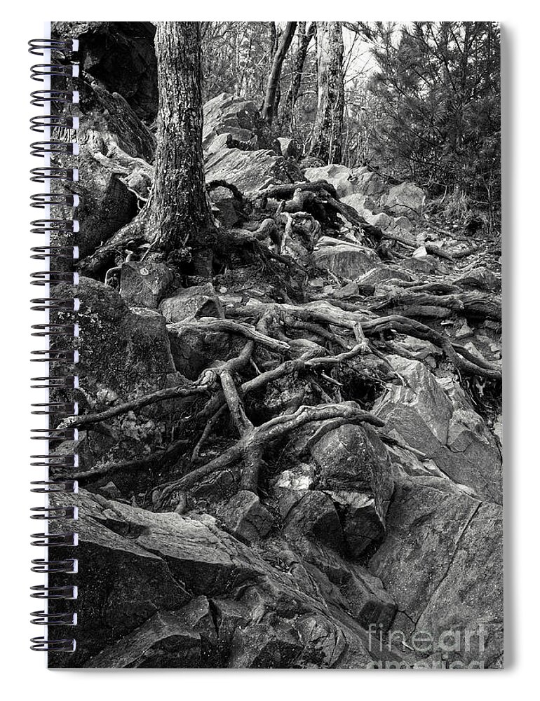 Abrams Falls Spiral Notebook featuring the photograph Rocky Ridge by Phil Perkins