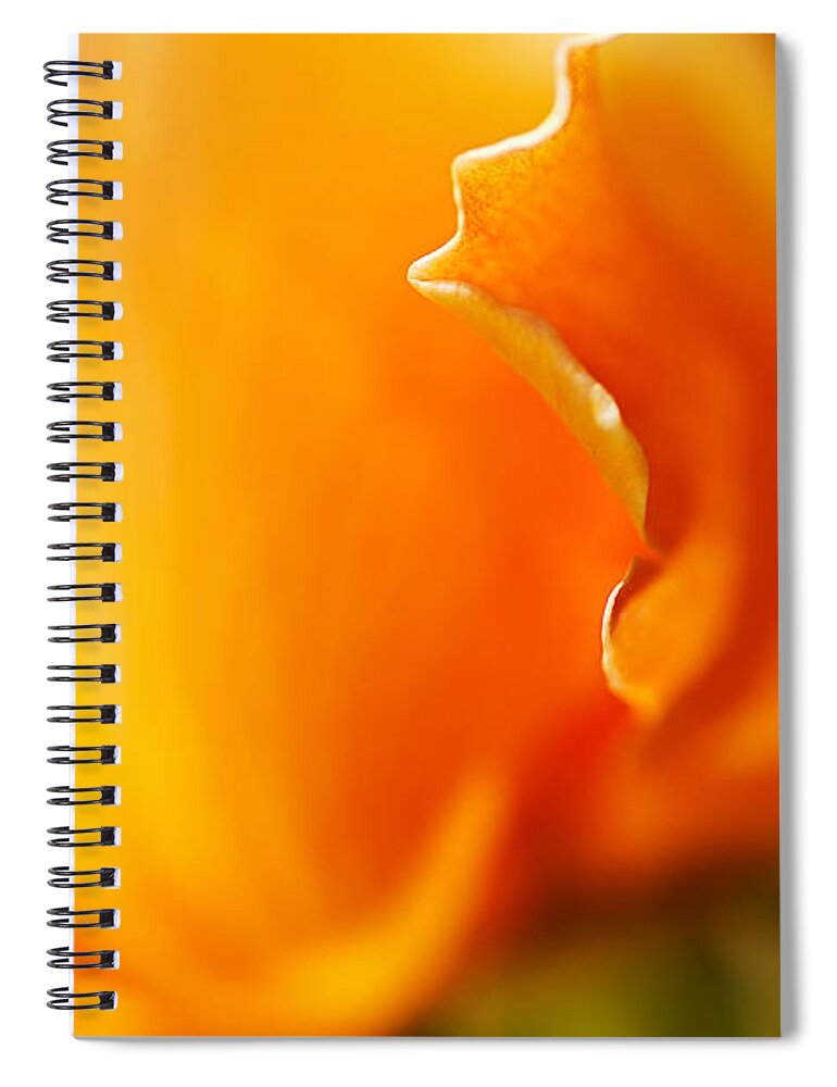 Rose Spiral Notebook featuring the photograph Romance Rose Orange by Joy Watson