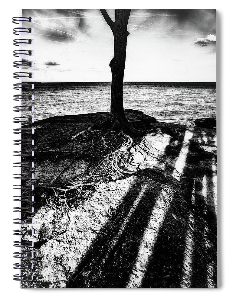 Rooted Spiral Notebook featuring the photograph Rooted by Marianne Campolongo